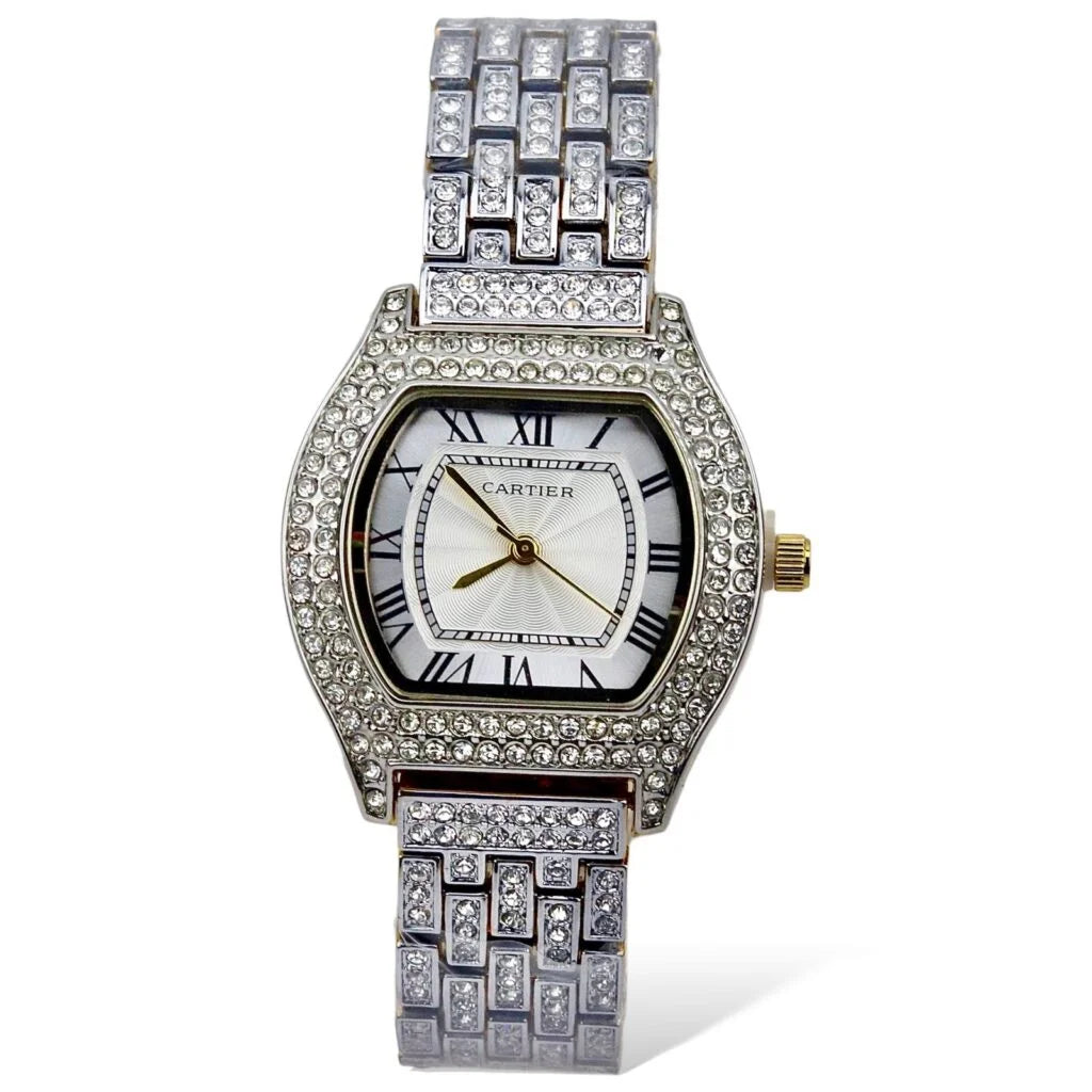 Female Watch – Stainless Steel – F-195